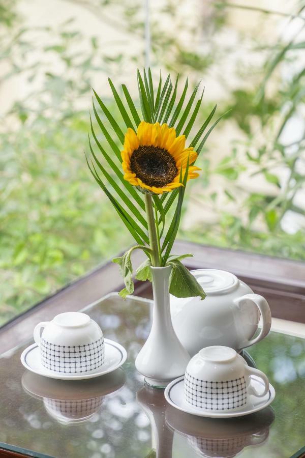 Golden Soulmate Homestay Hội An Extérieur photo